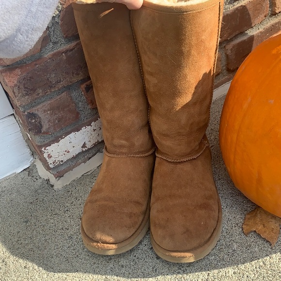 UGG Shoes - Tall UGG boots in Chestnut. Good condition.